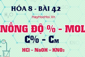 Cách tính nồng độ phần trăm, nồng độ mol của dung dịch - hóa 8 bài 42